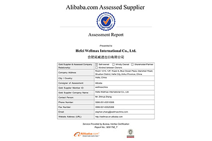 <span>法国BV验厂报告</span>